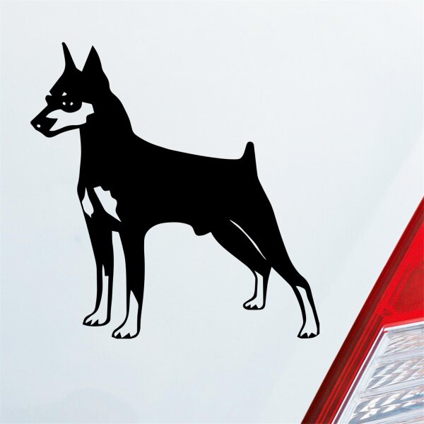 Zwergpinscher Hund Dog Animal Auto Aufkleber Sticker Heckscheibenaufkleber