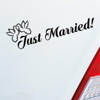 Just Married! Tauben Vögel Liebe Hochzeit Heiraten Auto Aufkleber Sticker Heckscheibenaufkleber