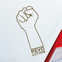 Revolution Faust Fist Rebel Hand Veränderung Car...